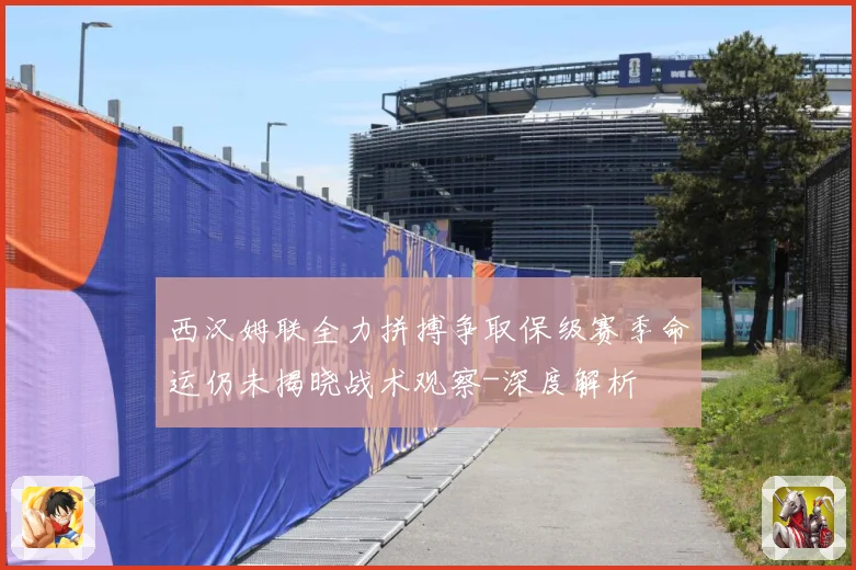 西汉姆联全力拼搏争取保级赛季命运仍未揭晓战术观察-深度解析