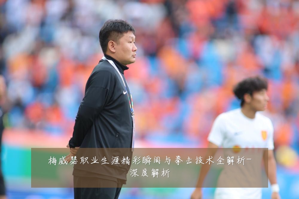 梅威瑟职业生涯精彩瞬间与拳击技术全解析-深度解析